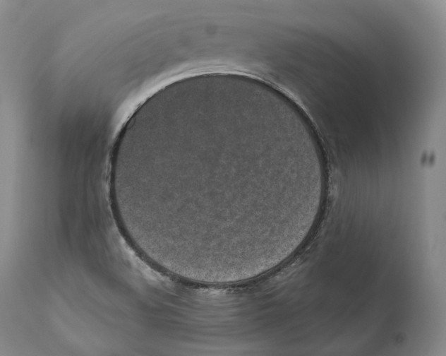 X0000110721508200907101351