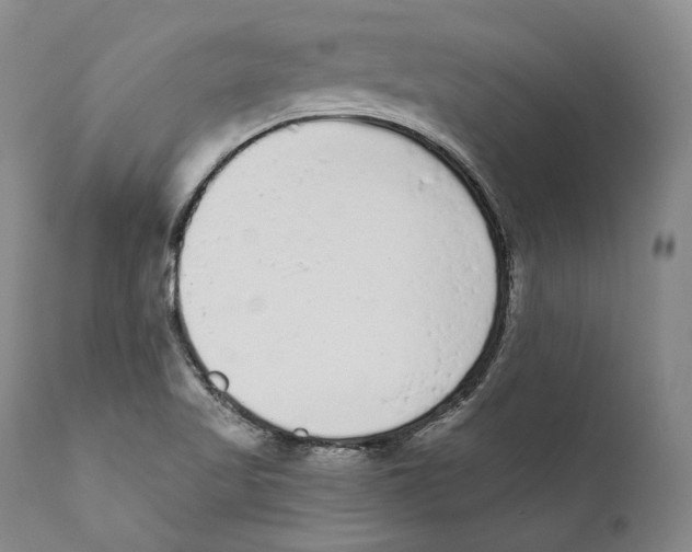 X0000110721509200907101351