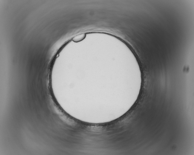 X0000110721511200907101351