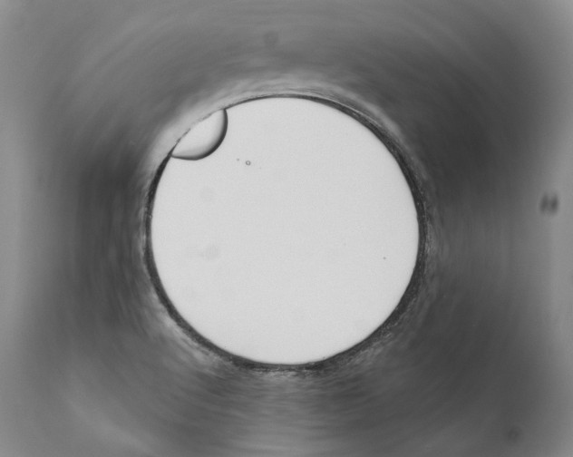 X0000110721512200907101351