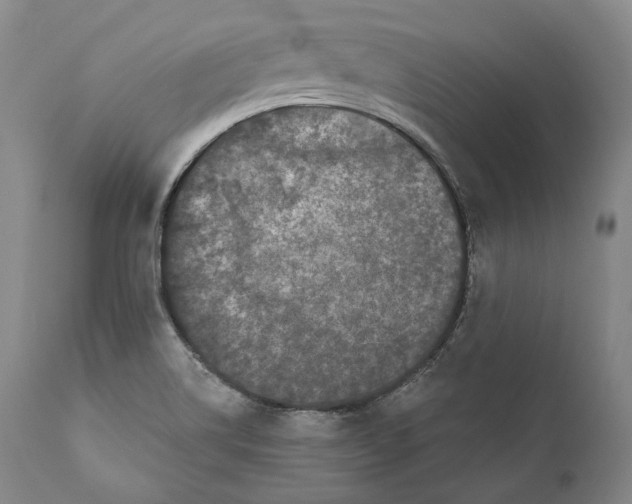 X0000110721514200907101351