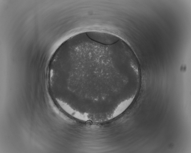 X0000110721515200907101351