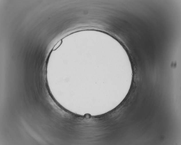 X0000110721516200907101351