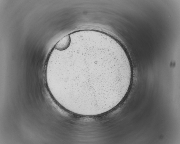 X0000110721517200907101351