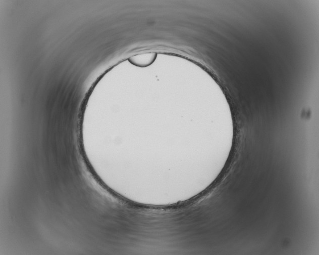 X0000110721518200907101351