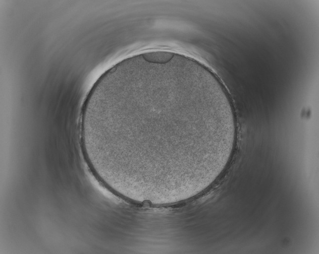 X0000110721519200907101351