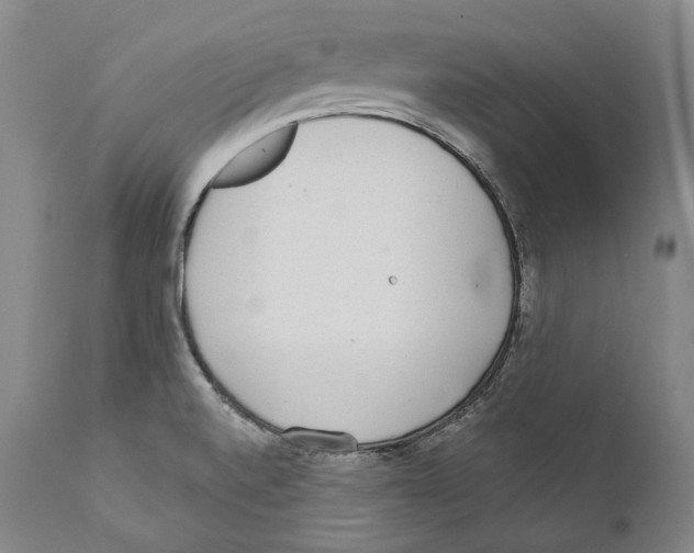 X0000110721520200907101351