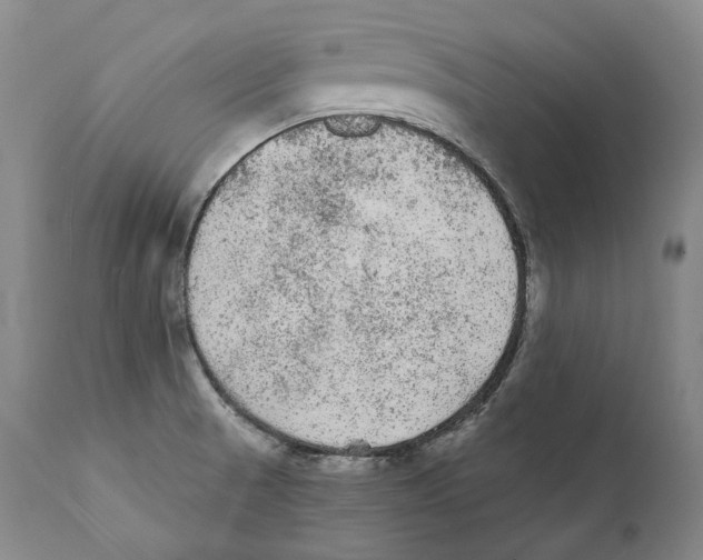 X0000110721521200907101351