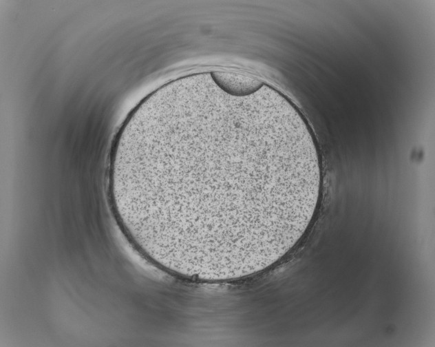 X0000110721523200907101351