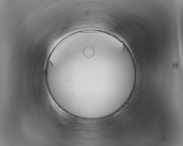 X0000110721524200907101352