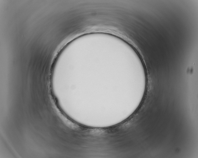 X0000110721525200907101352