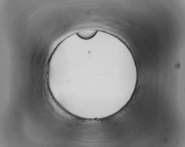 X0000110721526200907101352