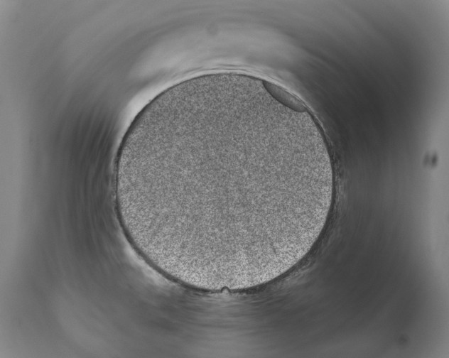 X0000110721527200907101352