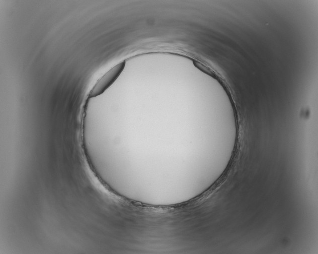 X0000110721528200907101352