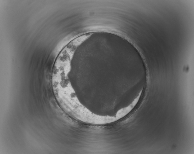 X0000110721529200907101352