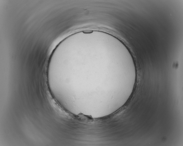 X0000110721530200907101352