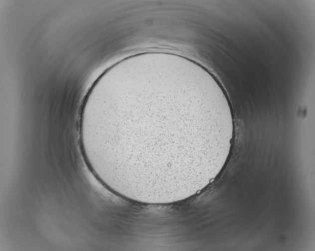 X0000110721531200907101352