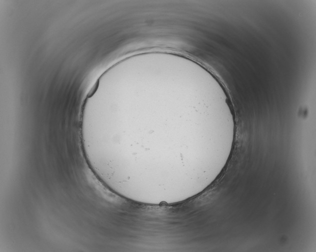 X0000110721532200907101352