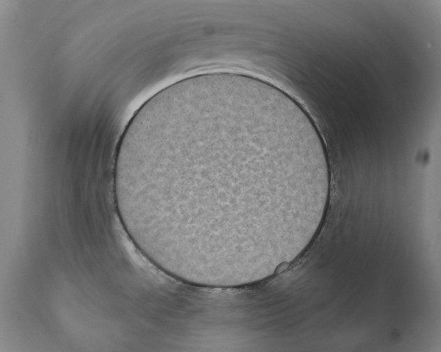 X0000110721534200907101352