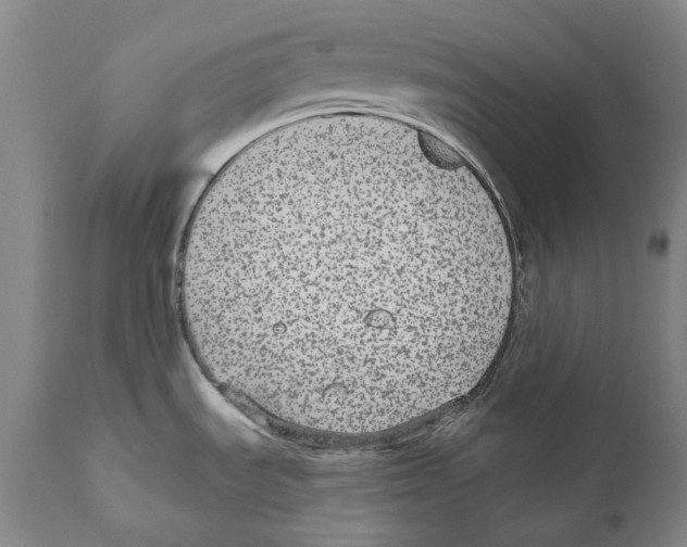 X0000110721535200907101352