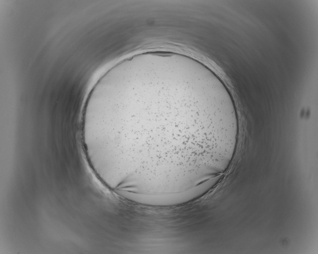 X0000110721536200907101352