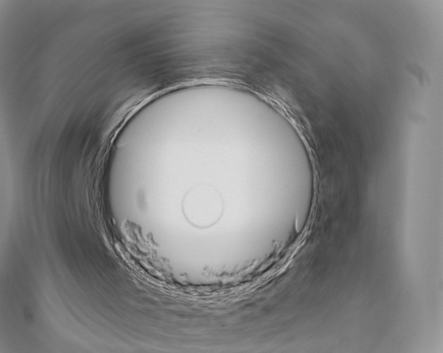 X0000110720001200907241216