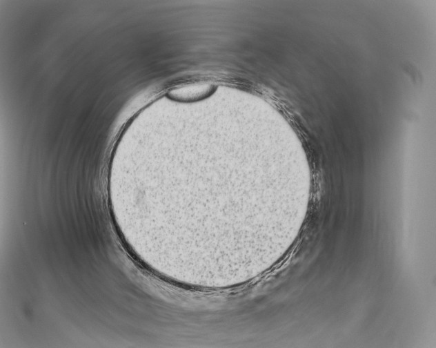 X0000110720004200907241216