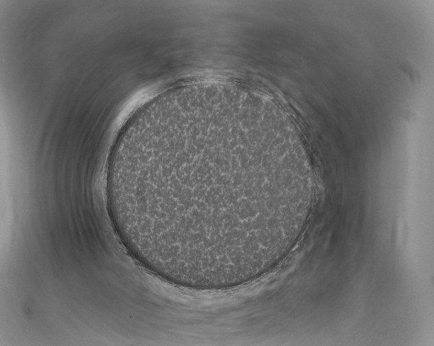 X0000110720006200907241216