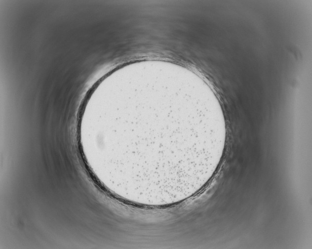 X0000110720008200907241216