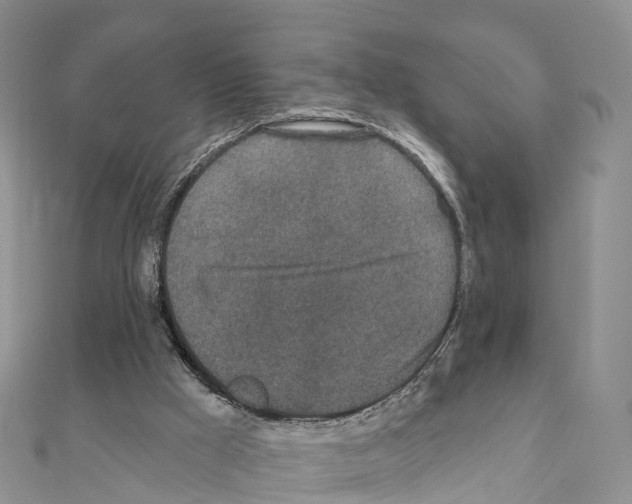 X0000110720009200907241216