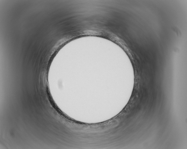 X0000110720011200907241216