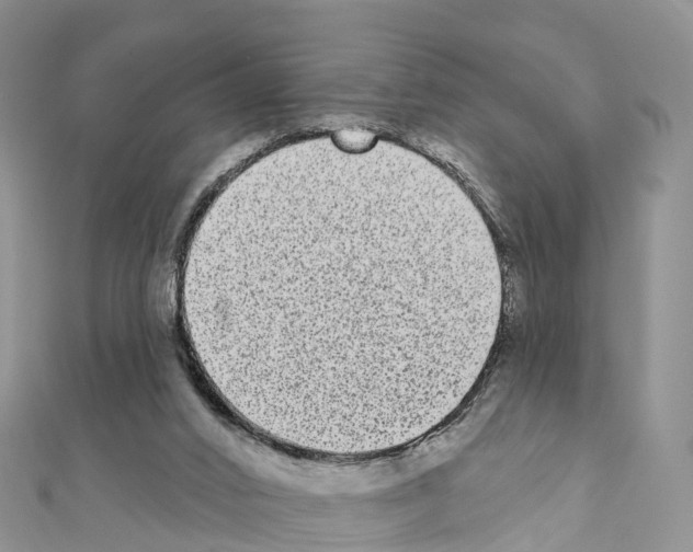 X0000110720016200907241216