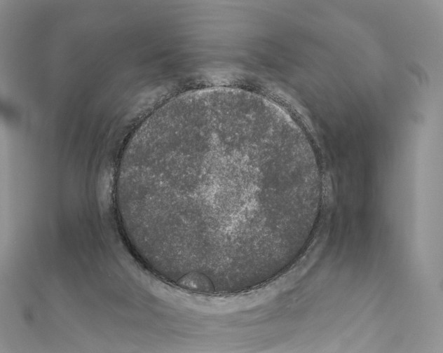 X0000110720018200907241216