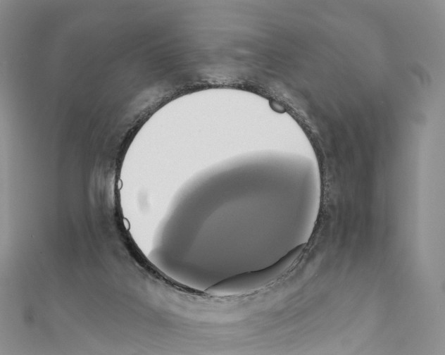 X0000110720019200907241216