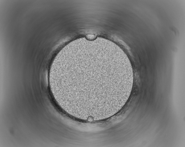 X0000110720020200907241216