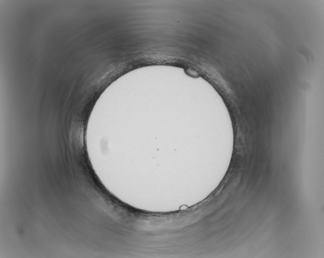 X0000110720021200907241216