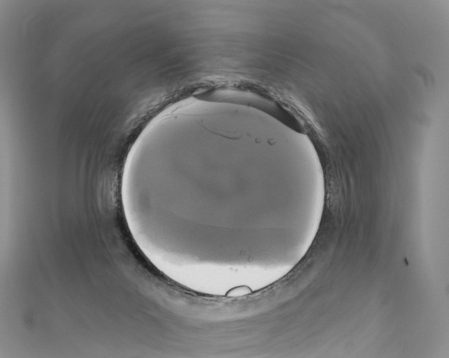 X0000110720023200907241216