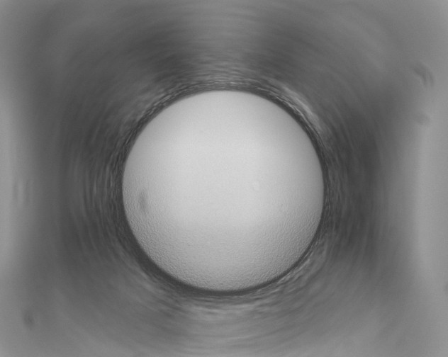 X0000110720025200907241216