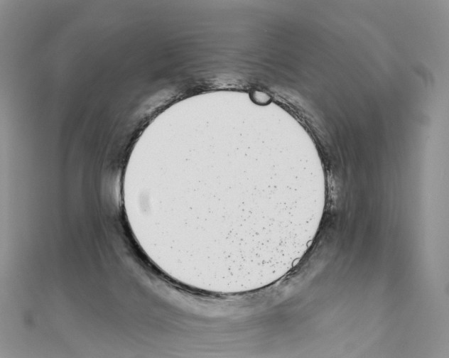 X0000110720028200907241216