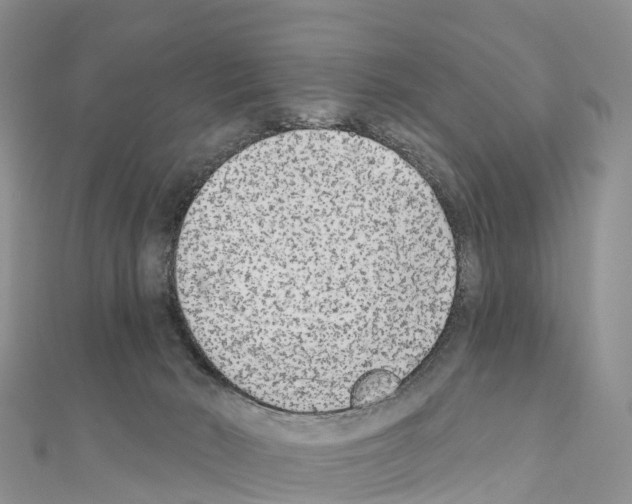 X0000110720030200907241216