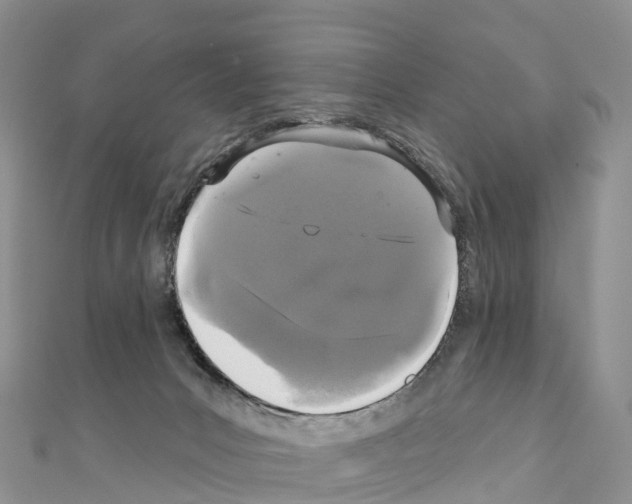 X0000110720031200907241216