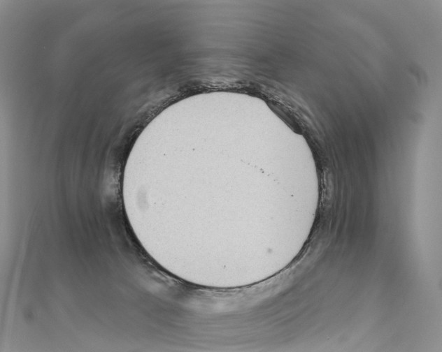 X0000110720033200907241216