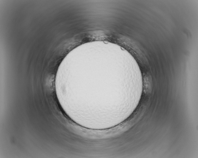 X0000110720034200907241216