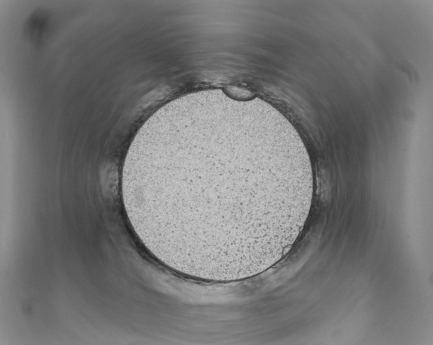 X0000110720036200907241216