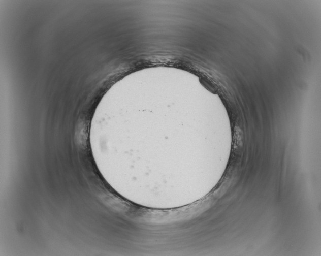 X0000110720037200907241216