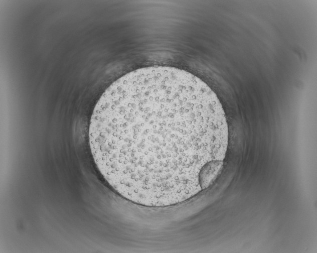 X0000110720038200907241216