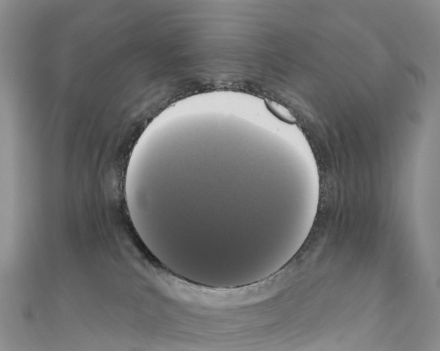 X0000110720039200907241216