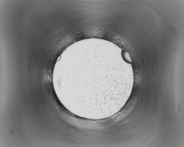 X0000110720040200907241216