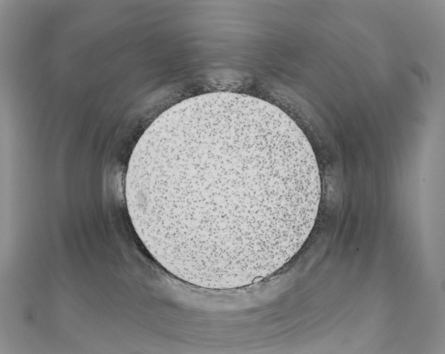 X0000110720042200907241215