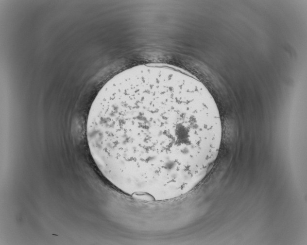 X0000110720043200907241215